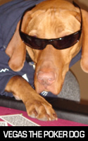 Visit Vegas The Poker Dog's MySpace Page